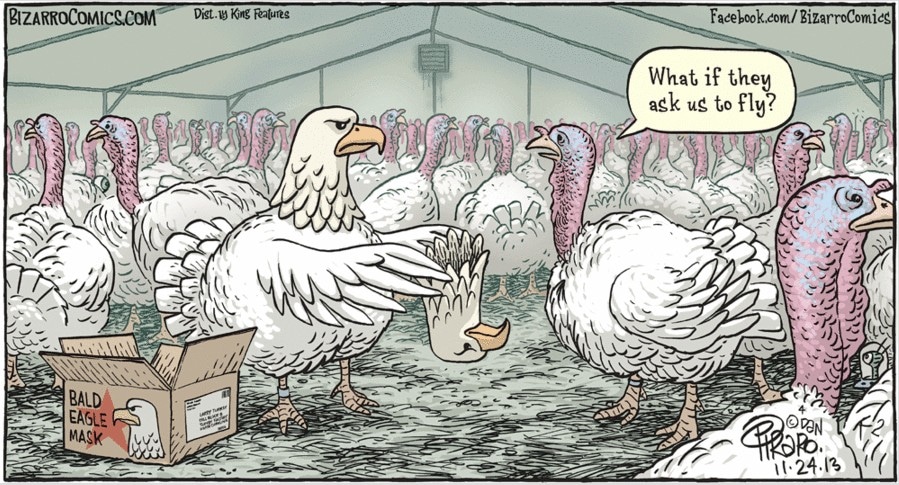 Porque el pavo es tradicion en thanksgiving