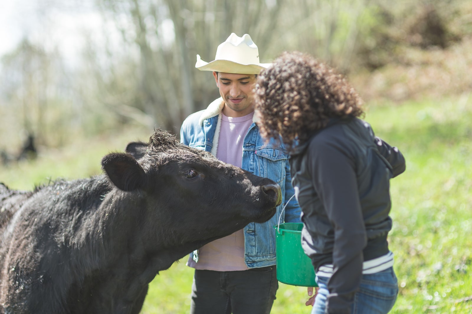 7 Incredible Animal Sanctuaries You ll Want To Escape To This Summer