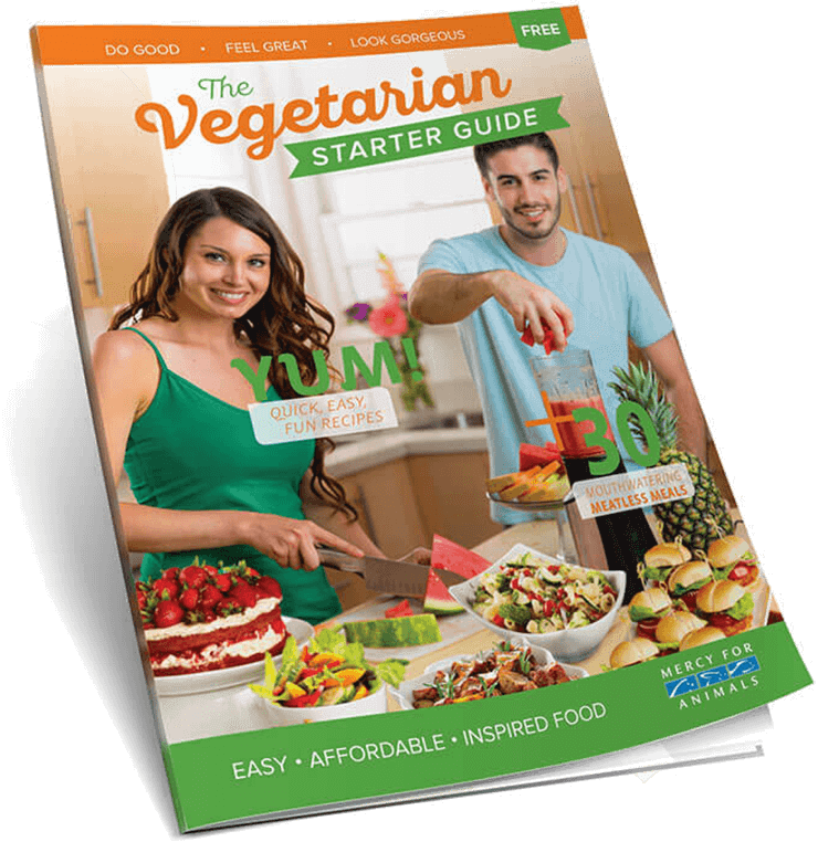 Get your free Vegetarian Starter Guide