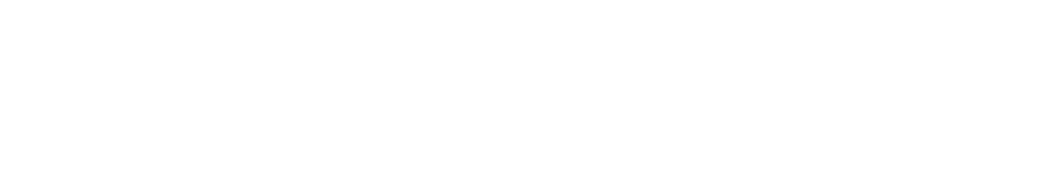 The Prospect Fund