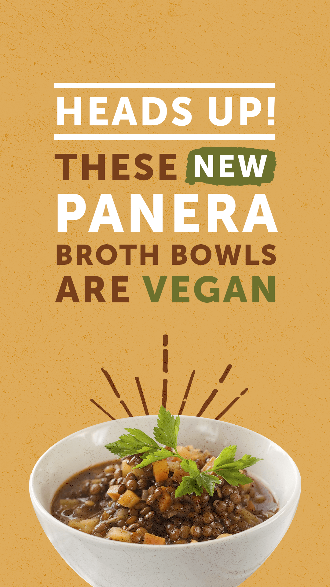 Best vegan options at panera
