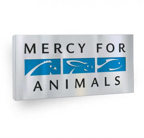 Logo Pin
