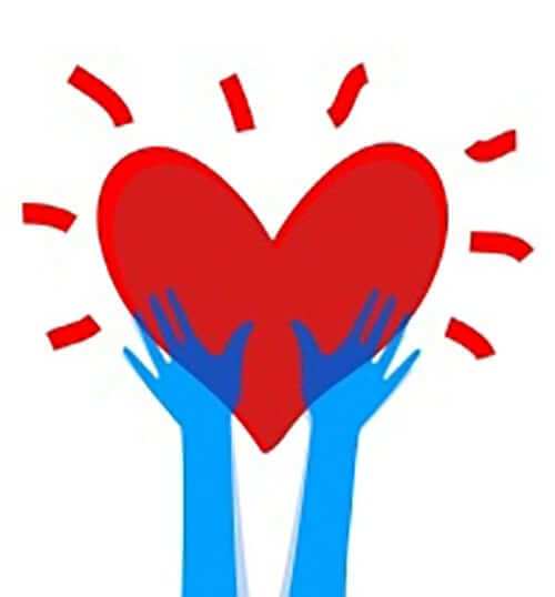 Make a Donation to MFA