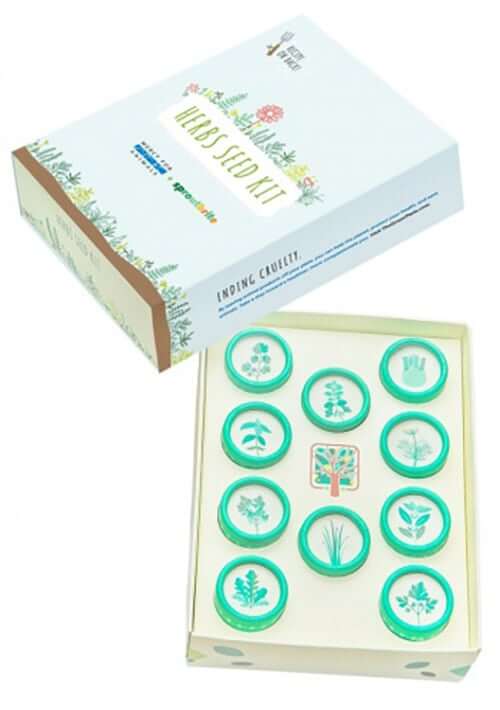 MFA Herbs Seed Kit