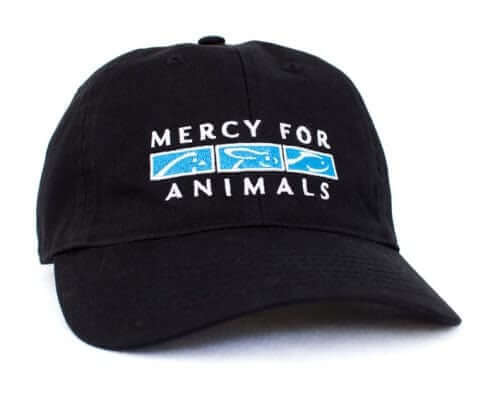 Logo Baseball Cap